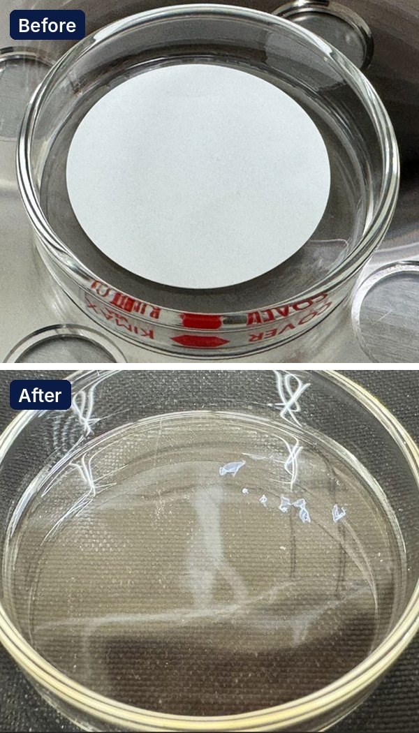 White 47 mm cellulose acetate filter in a glass petri dish before oxygen plasma ashing, and the dish after ashing with only a few flakes of inorganic residue