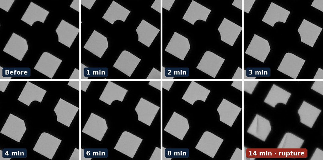 Optical transmission images of a 3 nm ultrathin lacey carbon TEM grid before and after 1 to 14 minutes of pulsed downstream room-air plasma