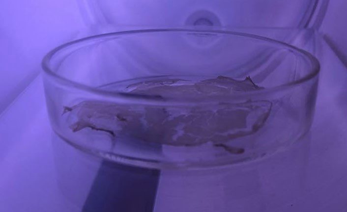 Petri dish in violet argon oxygen plasma after ashing is complete