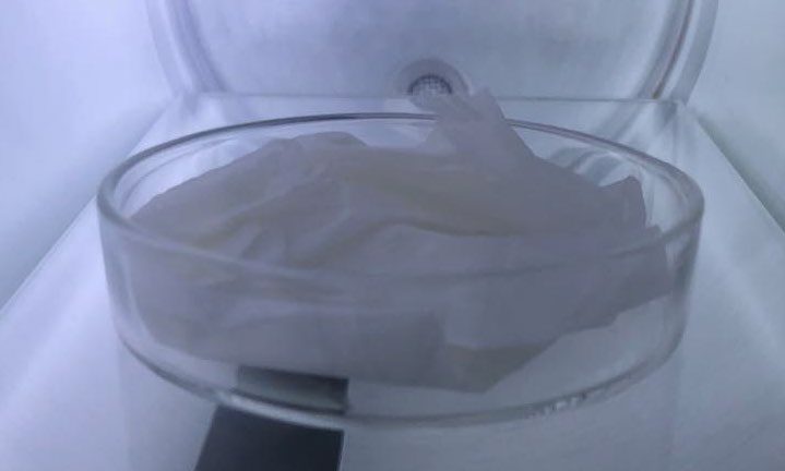 Lab wipe in a petri dish glowing whitish at the start of argon oxygen plasma ashing