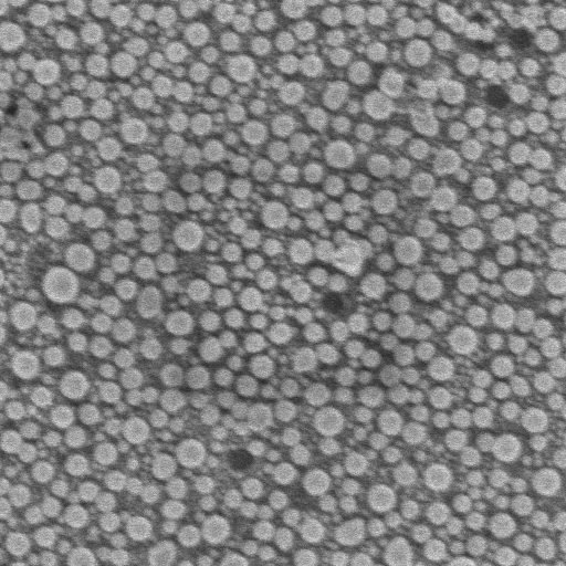 SEM image of tin-on-carbon sample with no scan mark after plasma cleaning