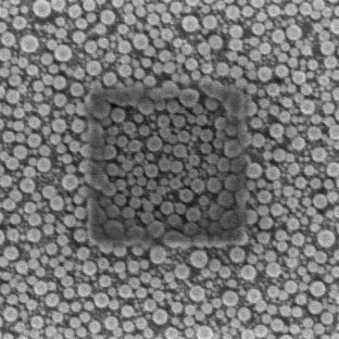 SEM image of tin-on-carbon sample with a dark carbon scan mark before plasma cleaning